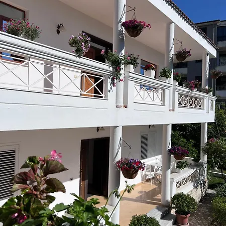 Modern In A - Daire Tiran